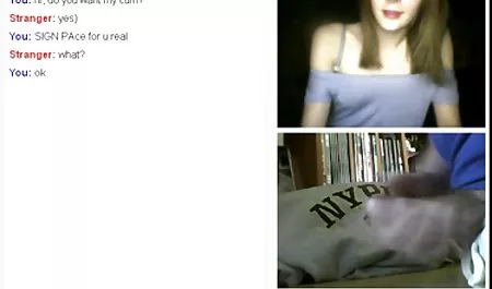 બેડ krasivyih પીંજવું કેટ