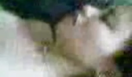 તૈયાર કરવા માટે શ્રેષ્ઠ ઉગ્ર ઉત્તેજનાનો અતિરેક વાહિયાત નકલી લોડો છે તમારા જીવન જોય