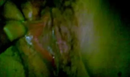 મોટી ડિંટ્ડી ગણવેશ - બ્રાન્ડી સેક્સ સાથે ઢીંગલી રોમન - એક ટ્રક સ્ટોપ Titti