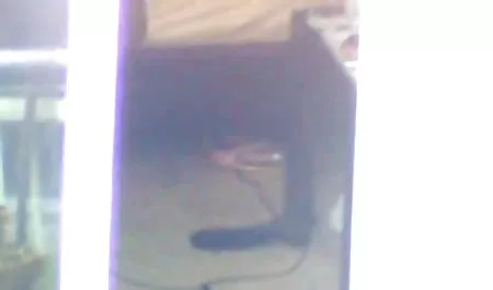 Lyla પ્રેમ ગળી અશ્લીલ હૂડ જાય છે દરેક ડ્રોપ સાથે જેમ્સ ડીન