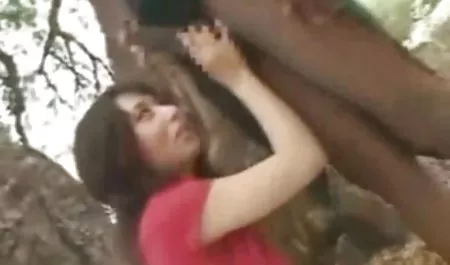 મોટા બોબલા વાળી 3gp વાહિયાત મહિલા સુંદરતા