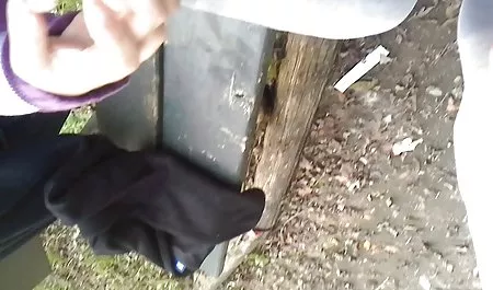 2 પાર્ટી વાહિયાત બાર