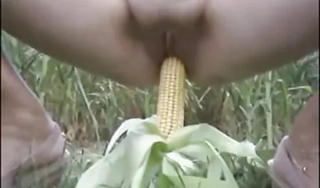 એશલી જેન - મને કામુક તમે ભયંકર વાહિયાત જેન -