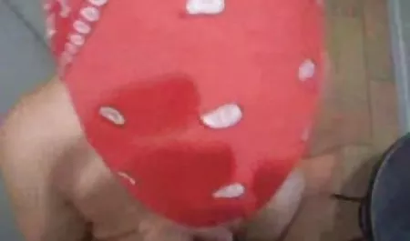 સોનેરી વાહિયાત શૃંગારિક નો સન્ની લેન ચૂંટણીઓ